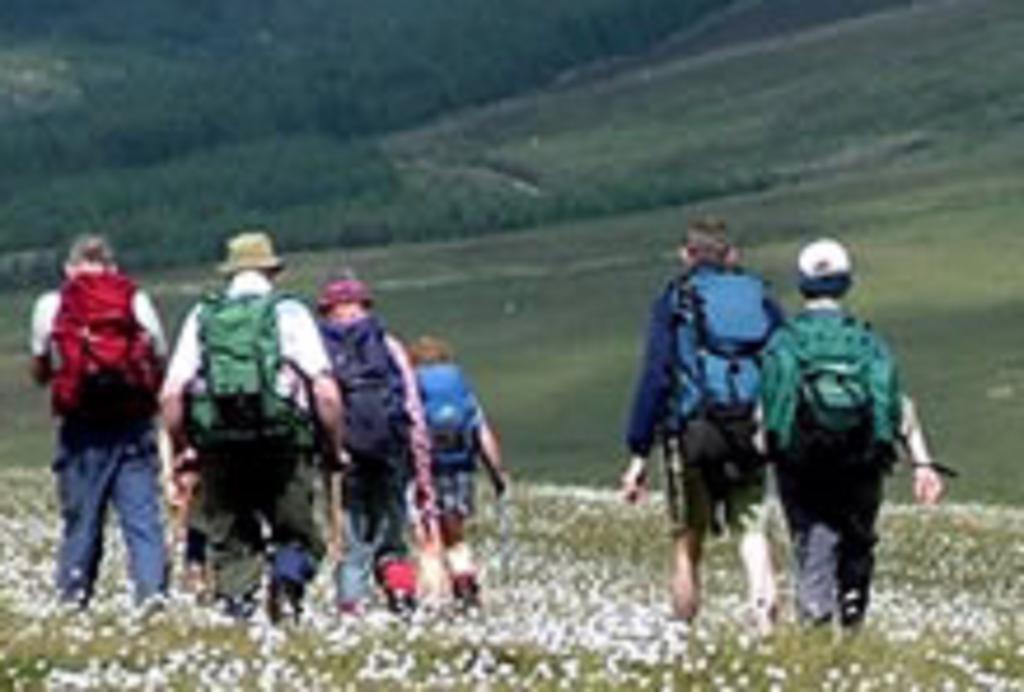 River Lodge Accomodation Виклоу Экстерьер фото